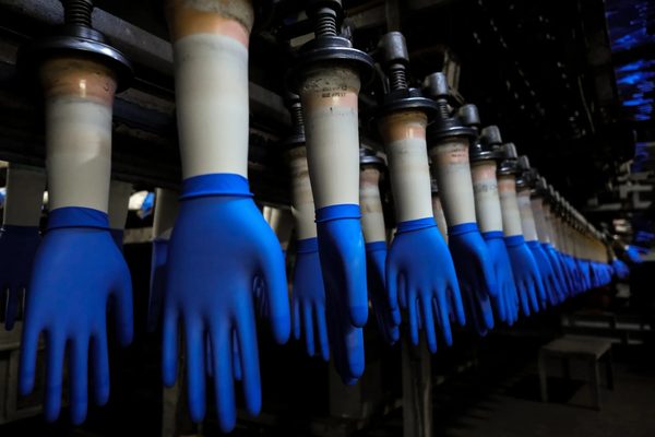 Blue nitrile gloves on ceramic formers along a glove dipping production line