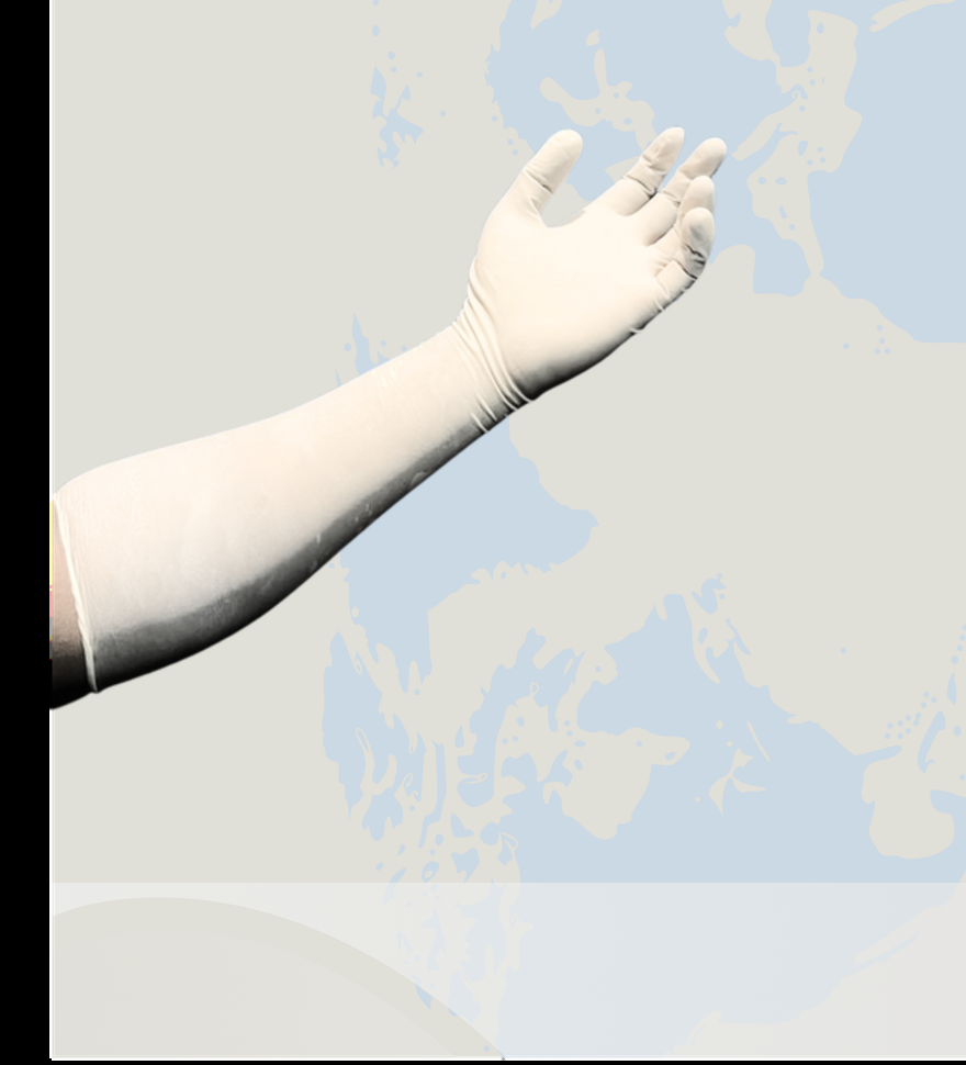 White latex elbow-length examination glove extending past the elbow